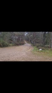 151 reactions | Test Ogier rally de Portugal #ogier #test #WRC #rally #portugal | Pasión por el Rally - Ecuador | Facebook