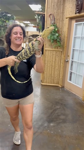 Got a crazy Water monitor 🦎 for yall today!