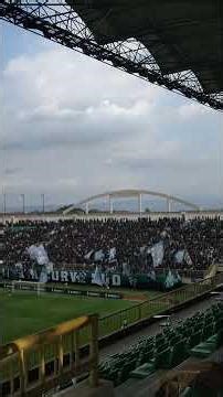 BCS is Back!! Maguwoharjo kembali bergemuruh #bcs #pss #maguwoharjo