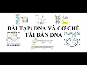BIOLOGY 12 EXERCISES DNA AND DNA REPLICATION PROCESS