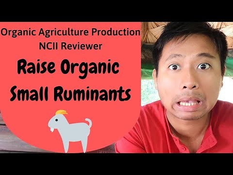 Organic Agriculture Production NCII Reviewer: Raise Organic Small Ruminants (OAP NCII reviewer)