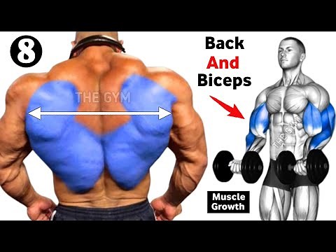 8 Back And Biceps Workout At Gym