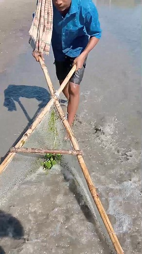 Amazing Net Fishing Challenge | Giant Fish Catch #vairalreels #fishing #shorts 🐟 | Fun Fishing