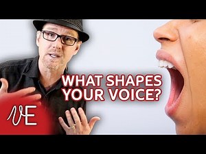 Learn more about Vocal Harmonics and Formants? | #DrDan 🎤