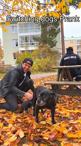 He secretly switched their dogs ... 🤣 #dogs #gag #prank | Julien Magic