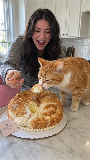 Cat Saves Her From Eating the Cake 😂🐱 | Funniest Cake Rescue Ever!