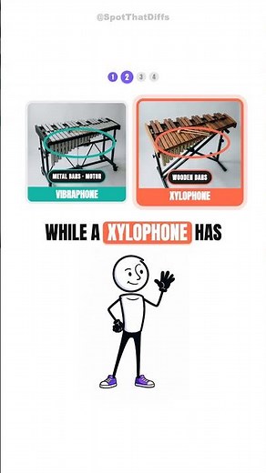Xylophone vs Marimba — the answer (and the mallet with a motor) #shorts