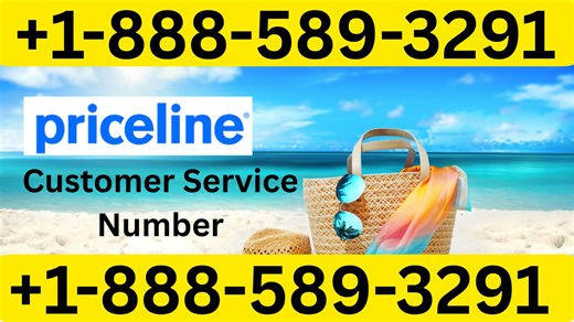 Priceline® Customer Service Complete Guide = Step-by-Step Help & Support 24/7 Priceline