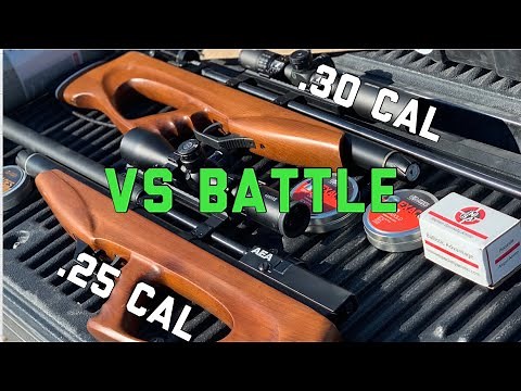 AEA Challenger Air Rifle .25 VS .30 Caliber Full Review! Economy Meets POWER