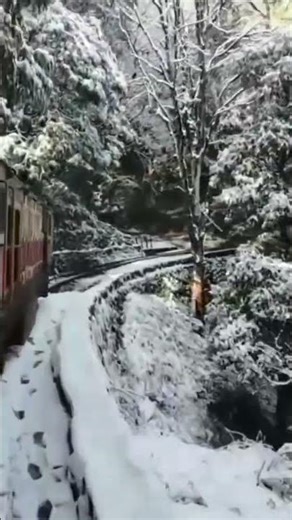 Snowfall ❄️ | Winter Magic & Peaceful Moments