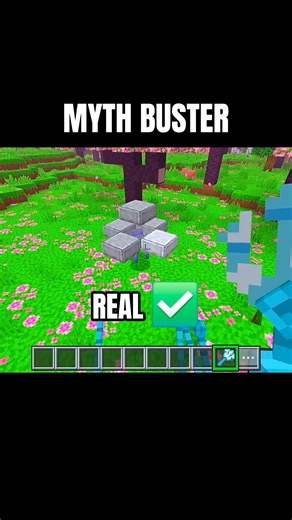 MYTH BUSTER || #minecraft #shorts #ytshorts #memes