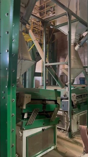 Vietnam Robusta S13 | Dry Processed Green Coffee Beans from Daklak