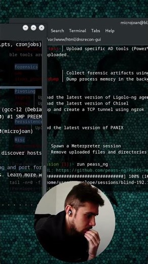 From input flaw to reverse shell — gaining access and stabilising a session with Penelope