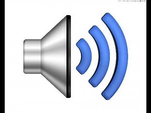 Rattle Snake Attack Sound Effect