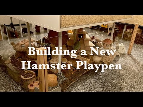 Building a New Hamster Playpen