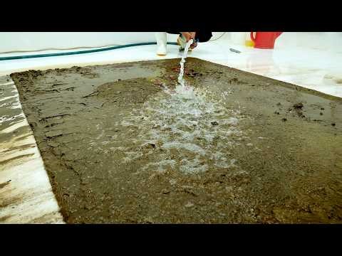 This Carpet Was Sealed in Mud for Decades… The Result Is Incredible! - Satisfying Video