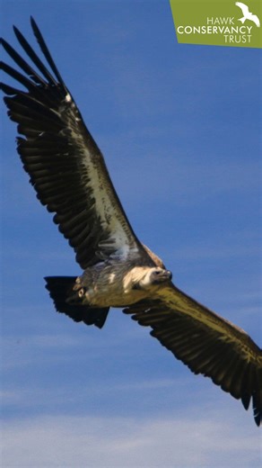 18K views · 407 reactions | One of the most breathtaking sights to...