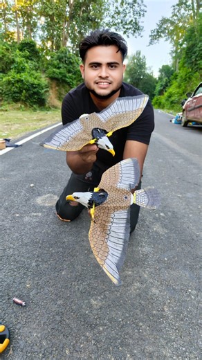 Suyel Laskar on Instagram: "Purana Bald 2 Ta Eagle Bird Unboxing Dekho 😱 🐦 #shorts #toy #shortsfeed #eagle #shorts #rceagle #eagles #cyclestunt #minieagle #bigeagle #ytshorts #unboxing #remotecontrol #shortsfeed #armygadi"