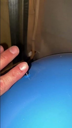 What a Bad Pressure Tank Bladder Looks Like