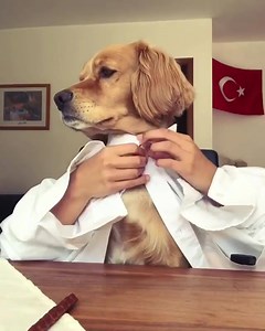 30K views · 353 reactions | Sometimes you just a need a laugh, in this world! Everyone Matters! | Everyone Matters | Facebook