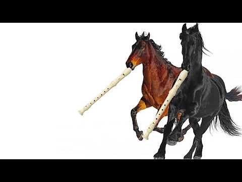 Old Town Road - Bad Flute Cover
