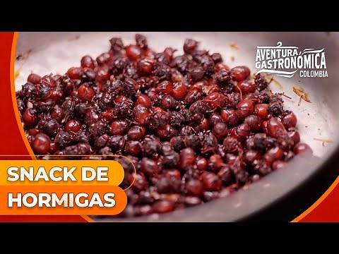 Deliciosas hormigas culonas provenientes de Santander | Temporada 2 | Aventura Gastronómica Colombia
