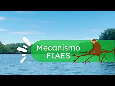 FIAES - introducción