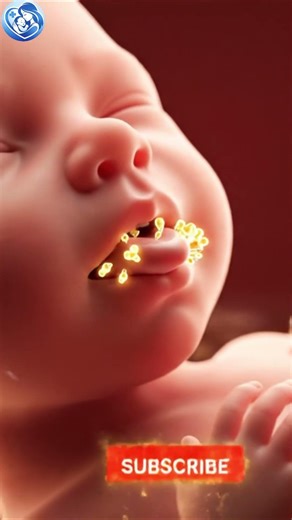 15 Weeks Pregnant: Can Baby Taste? YES - Here's What They Like!