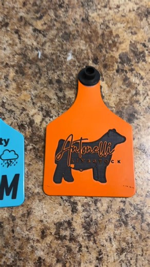 New project unlocked! 🔓✨ Custom laser-engraved ear tags & keychains are officially happening! I’m offering 1–2 discounted orders to get things rolling. Message me if you want details 👋 | Sarah Sura