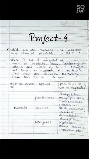 10th Science part 2 Chapter 7 Which are the microbes that destroy the chemical pesticides in soil ?