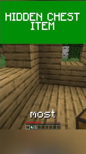 Minecraft Hidden Chest Item Secret