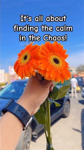 #flowers #love #instagram #story #aesthetic #pinterest #girl #women #aestheticstatus #shorts #share