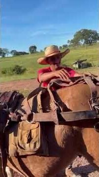 Conheça como funciona a comitiva de BOIADEIROS na estrada? #pecuarista #fazenda #gado #cavalo #agro