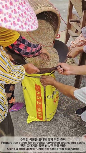 Efficient Traditional Rice Bagging Tool 🌾 | 전통 기술을 활용한 고효율 쌀 자루 포장