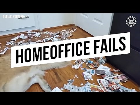 Homeoffice Fails
