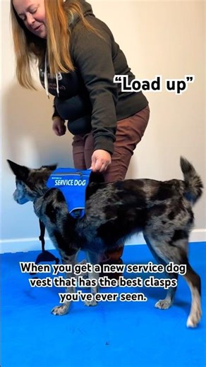This Service Dog Vest is a GAME CHANGER! 🐕‍🦺