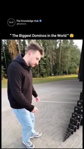Teach You Everything | The video showcases an impressive domino chain reaction that begins with a single tap on small tiles and escalates into massive,... | Instagram
