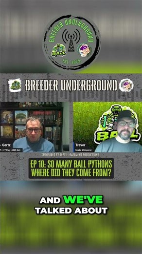 Morphmarket has improved reptile purchasing