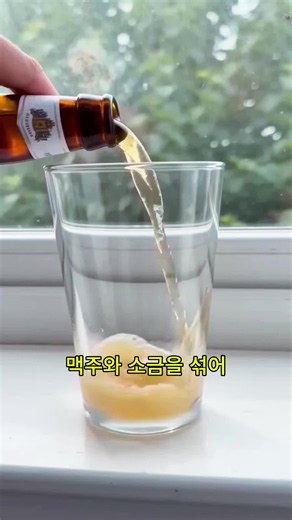 주방세제·식초·소금 활용법: 안전한 혼합 청소 팁