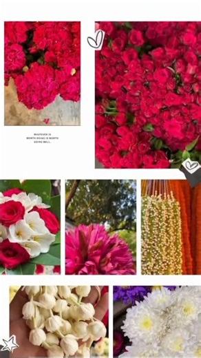 #college #sgorts #shortsfeed #colombia #volocity #colors #college #collection #colorscope#flowerart