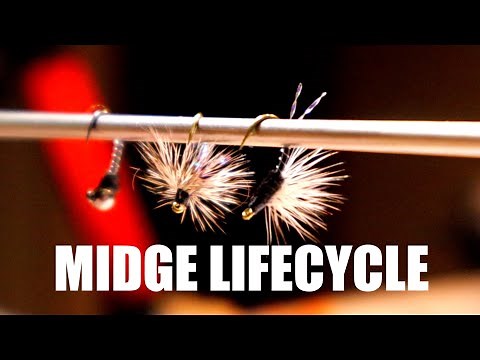 EVERY FLY FISHER SHOULD HAVE | HOW TO TIE A MIDGE | PUPA EMERGER & FLY | Tying the midge lifecycle
