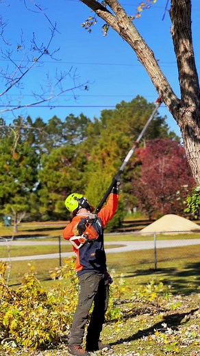 #CowboyBebop #treefelling #arborist #treeremovals #notch #teufelberger #petzl #stihl #salewa #treestuff #arborwear #arbortec #mapletree #bobcat
