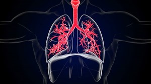Human Lungs Breathing Movement Inspiration Expiration Stock Footage Video (100% Royalty-free) 1078548131 | Shutterstock