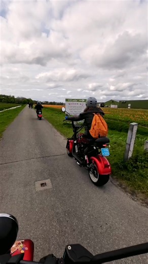 Top Tip for your holiday in Holland 😎🇳🇱 #vacation #holland #thenetherlands #thedutchwayoflife #dutch | The Dutch Way Of Life