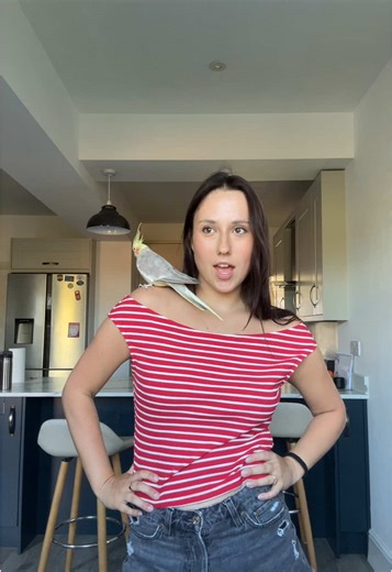 no animals were harmed in the making