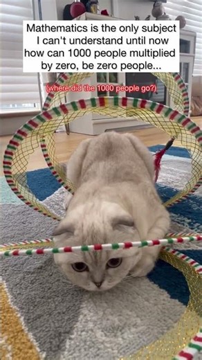 Maths - I can’t understand 🙈 #kikicutekitty #maths #multiply #zero #funny #comedy #jokes #relatable