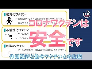 新型コロナウイルスワクチンは安全です。はたらく細胞のキャラクターで解説