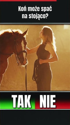 Czy konie śpią na stojąco? 🐎 Ciekawostki o zwierzętach🧠 TAK czy NIE❓