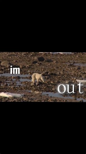 The Impact of Littering on Our Environment