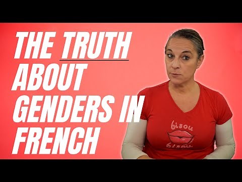 Feminine or Masculine words in French? Understanding French genders!